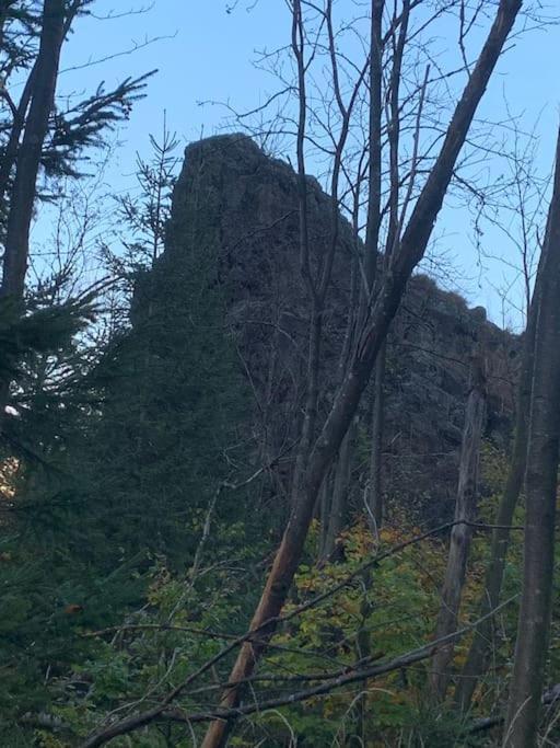 Jermerstein-Haeuschen Braunlage Exteriér fotografie