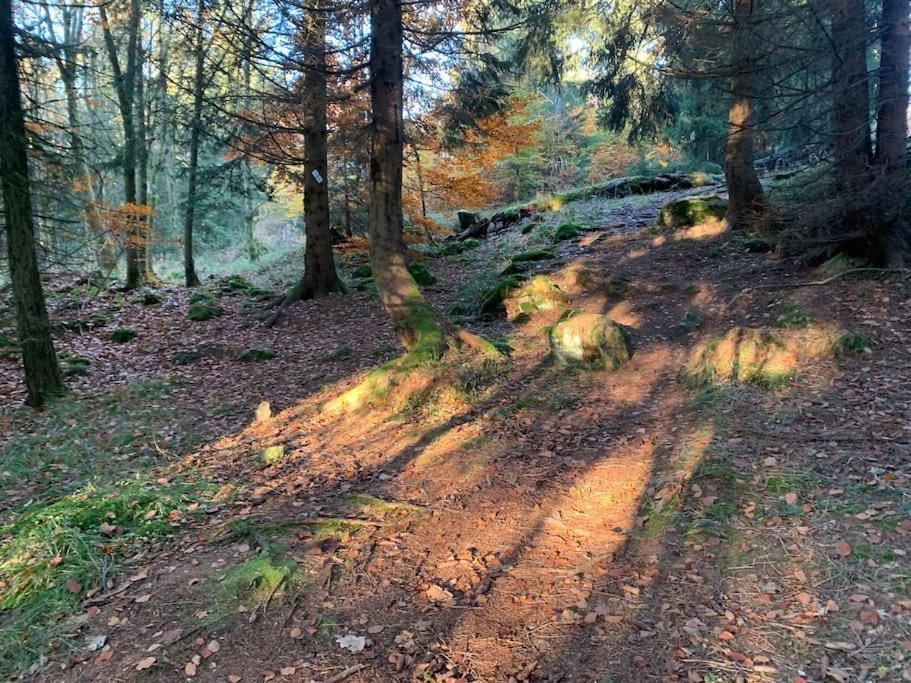 Jermerstein-Haeuschen Braunlage Exteriér fotografie