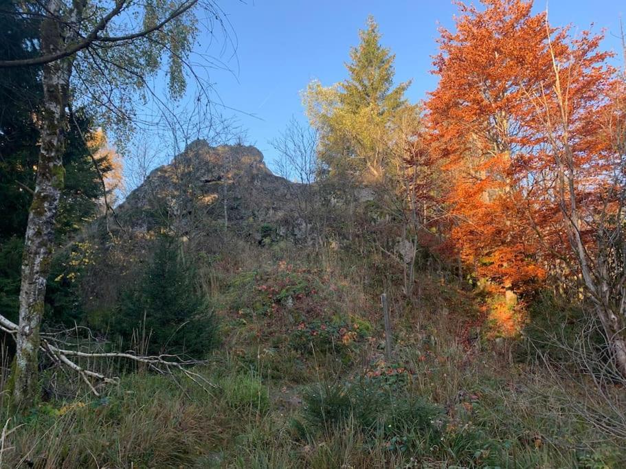 Jermerstein-Haeuschen Braunlage Exteriér fotografie
