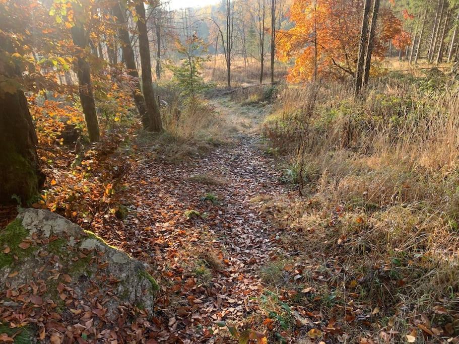 Jermerstein-Haeuschen Braunlage Exteriér fotografie